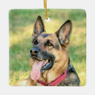 Deutsche Herders Keramisch Ornament