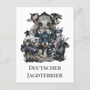 Deutscher Jagddooder Briefkaart