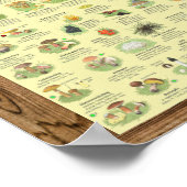 "Deutschland: 2020 - Das große PILZe Bestimmungs- Poster (Hoek)