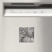 Devata Magneet (Insitu (Vaatwasser))