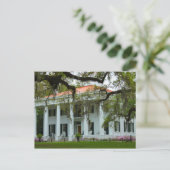 D'Evereux Antebellum Home - Natchez, MS Briefkaart (Staand voorkant)