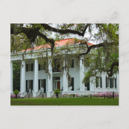 D'Evereux Antebellum Home - Natchez, MS Briefkaart (Voorkant)