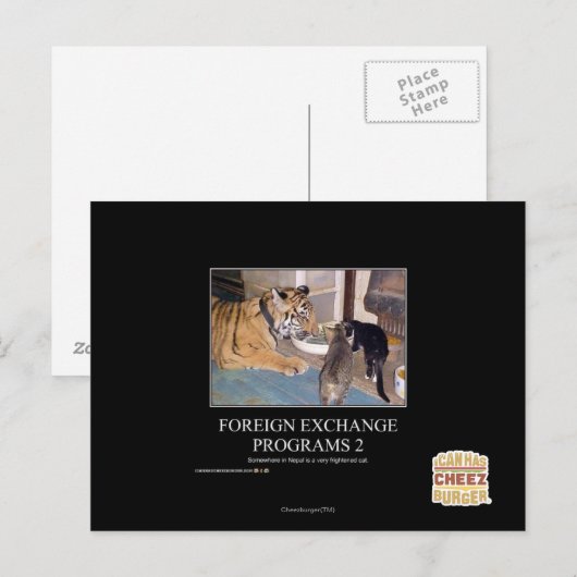 Deviezenprogramma's 2 briefkaart (Voorkant / Achterkant)