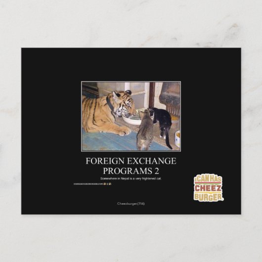 Deviezenprogramma's 2 briefkaart (Voorkant)