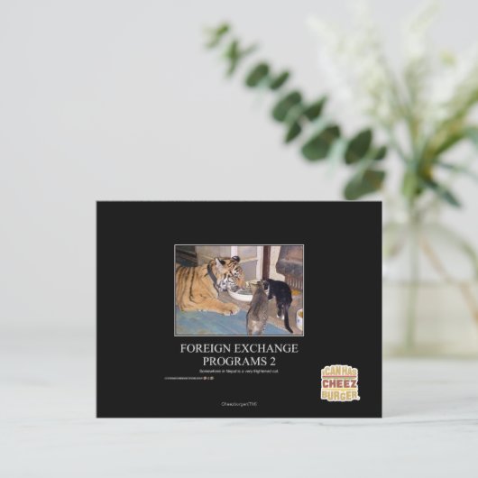 Deviezenprogramma's 2 briefkaart (Staand voorkant)