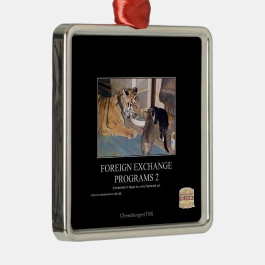 Deviezenprogramma's 2 metalen ornament (Rechts)