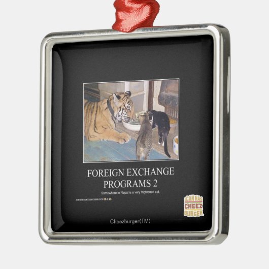 Deviezenprogramma's 2 metalen ornament (Links)