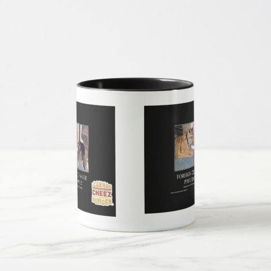 Deviezenprogramma's 2 mok (Midden)