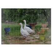 Devil Ducks Glass Chopping Board Snijplank (Voorkant)