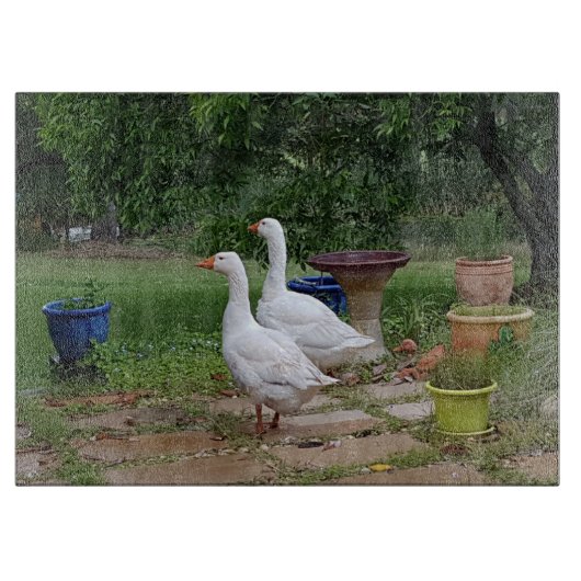 Devil Ducks Glass Chopping Board Snijplank (Voorkant)