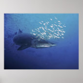 Devil met een Halo Poster (Voorkant)