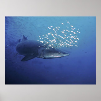 Devil met een Halo Poster