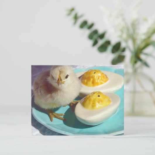 Deviled Eggs en the Chick Briefkaart (Staand voorkant)
