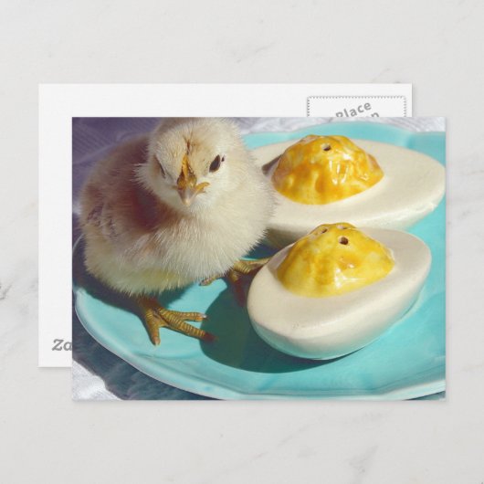 Deviled Eggs en the Chick Briefkaart (Voorkant / Achterkant)