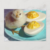 Deviled Eggs en the Chick Briefkaart (Voorkant)