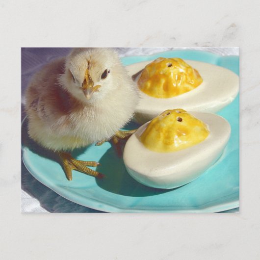 Deviled Eggs en the Chick Briefkaart (Voorkant)