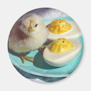 Deviled Eggs en the Chick Magneet