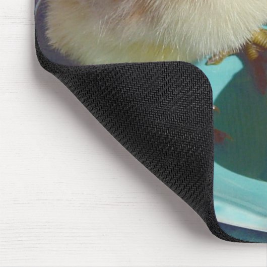 Deviled Eggs en the Chick Muismat (Hoek)