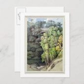 Devil's Bridge, 1810 (m/v c met pen en inkt boven  Briefkaart (Voorkant / Achterkant)