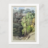 Devil's Bridge, 1810 (m/v c met pen en inkt boven  Briefkaart (Voorkant)