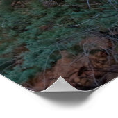 Devil's Bridge in Sedona, AZ 3445 Poster (Hoek)