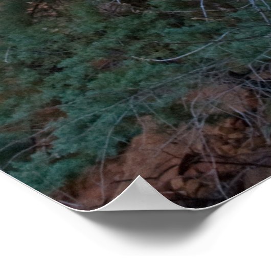 Devil's Bridge in Sedona, AZ 3445 Poster (Hoek)