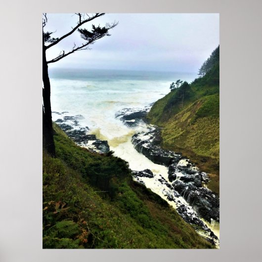Devil's Churn, Cape Perpetua, Oregon Coast Poster (Voorkant)
