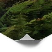 Devil's Churn, Cape Perpetua, Oregon Coast Poster (Hoek)