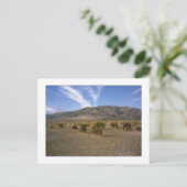 "Devils Cornfield" Briefkaart (Staand voorkant)