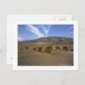 "Devils Cornfield" Briefkaart (Voorkant / Achterkant)