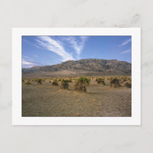 "Devils Cornfield" Briefkaart