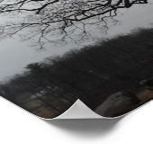 Devils Den Tree Poster (Hoek)