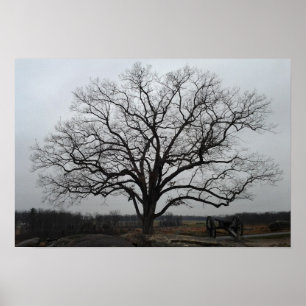 Devils Den Tree Poster