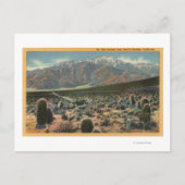 Devil's Garden Uitzicht van Mt. San Jacinto # 1 Briefkaart (Voorkant)