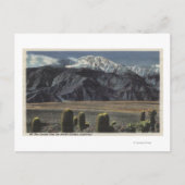 Devil's Garden Uitzicht van Mt. San Jacinto # 2 Briefkaart (Voorkant)