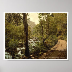 Devils Glen, Ashford, County Wicklow Ierland Poster