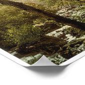 Devils Glen, Ashford, County Wicklow Ierland Poster (Hoek)