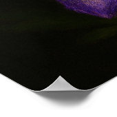 Devil's Helmet: Toxic Elegance Impressionist Art Poster (Hoek)