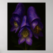 Devil's Helmet: Toxic Elegance Impressionist Art Poster (Voorkant)