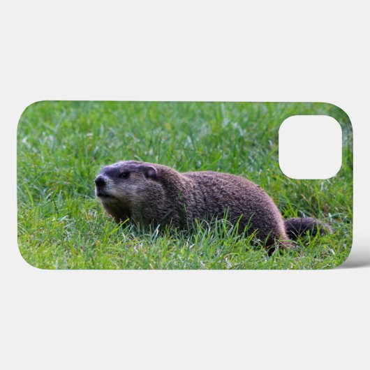 Devil's Hole Digger Case-Mate iPhone Case (Achterkant (horizontaal))