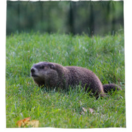 Devils Hole Digger Douchegordijn