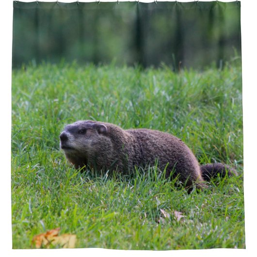 Devils Hole Digger Douchegordijn (Voorkant)