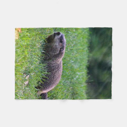 Devil's Hole Digger Fleece Deken (Voorkant (Horizontaal))