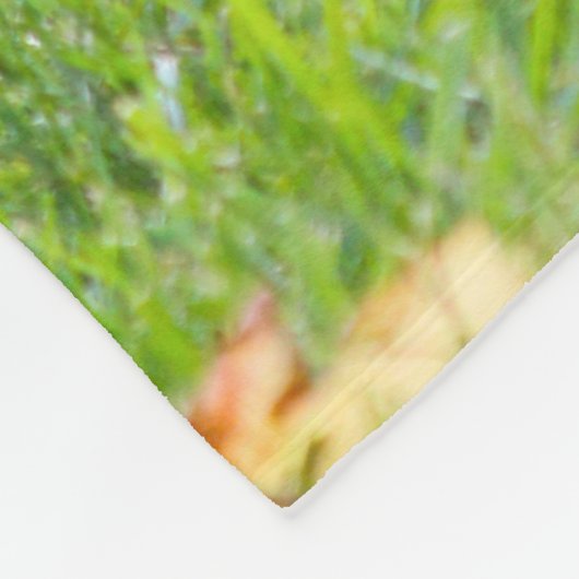 Devil's Hole Digger Fleece Deken (Hoek)