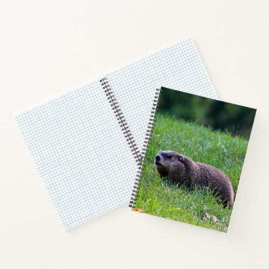 Devil's Hole Digger Notitieboek (Binnen)