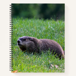 Devil's Hole Digger Notitieboek