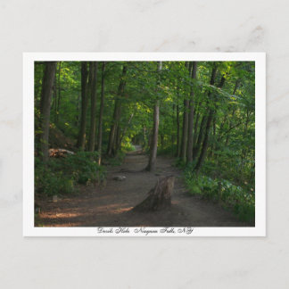 Devils    HoleNiagara Herfsten, NY Briefkaart