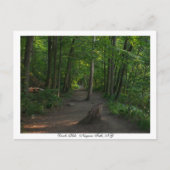 Devils HoleNiagara Herfsten, NY Briefkaart (Voorkant)