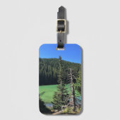 Devil's Lake, OR Bagagelabel (Voorkant (verticaal))