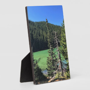 Devil's Lake, OR Fotoplaat